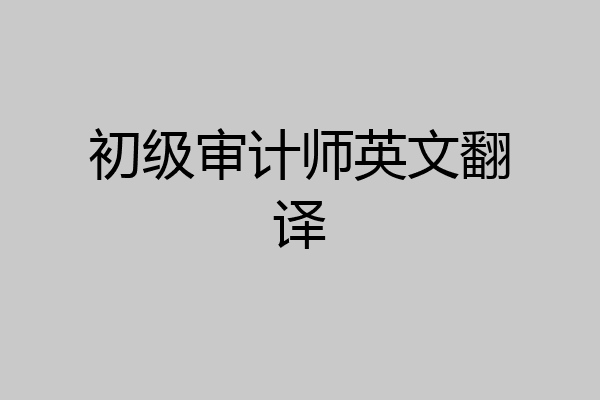 初级审计师英文翻译
