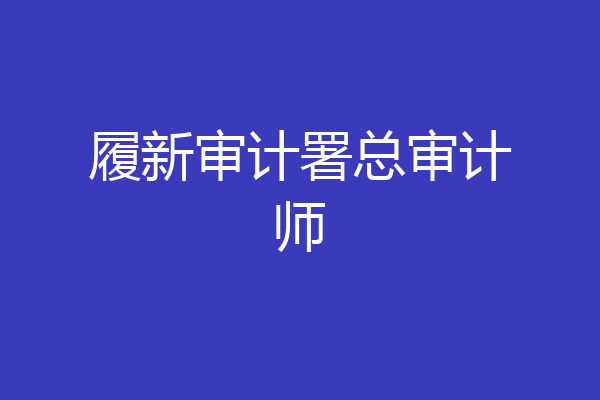 履新审计署总审计师