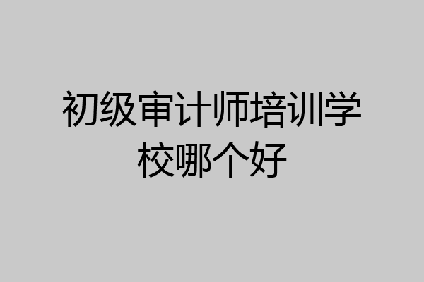 初级审计师培训学校哪个好