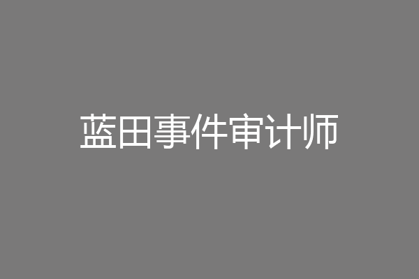 蓝田事件审计师