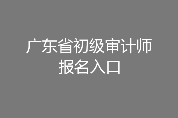 广东省初级审计师报名入口