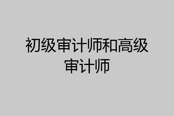 初级审计师和高级审计师