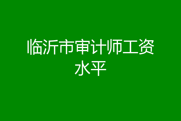 临沂市审计师工资水平