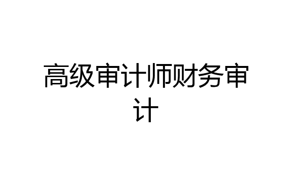 高级审计师财务审计
