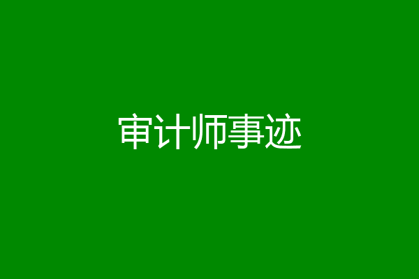 审计师事迹