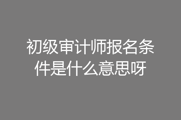 初级审计师报名条件是什么意思呀