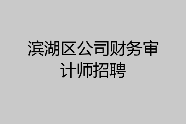 滨湖区公司财务审计师招聘