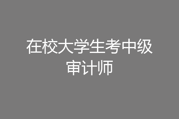 在校大学生考中级审计师