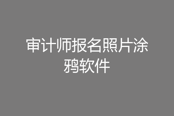 审计师报名照片涂鸦软件