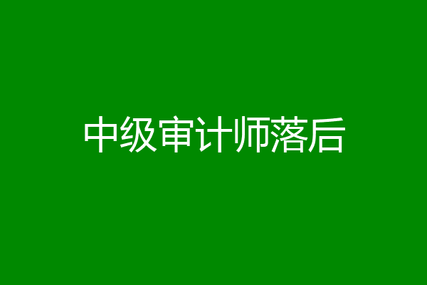 中级审计师落后
