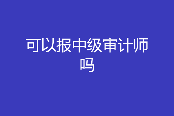 可以报中级审计师吗