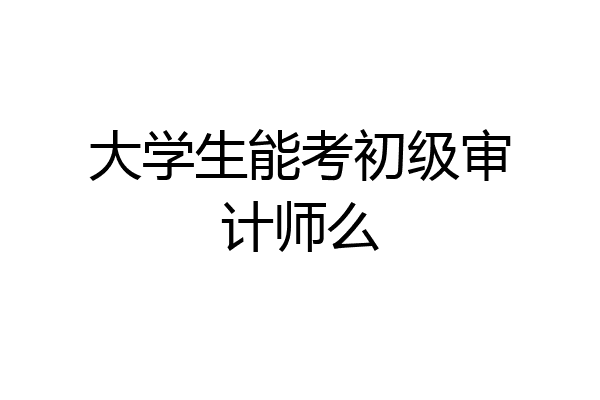 大学生能考初级审计师么