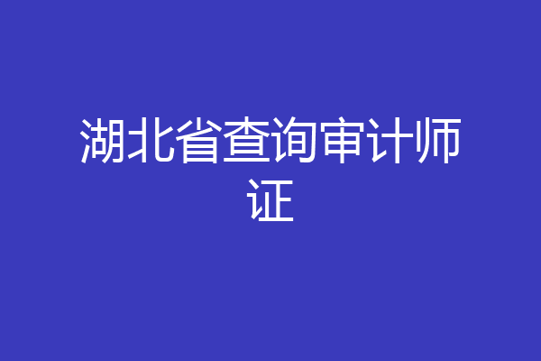 湖北省查询审计师证
