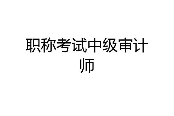职称考试中级审计师