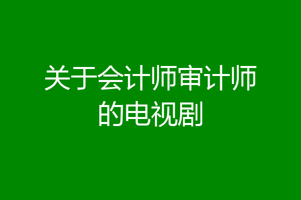 关于会计师审计师的电视剧