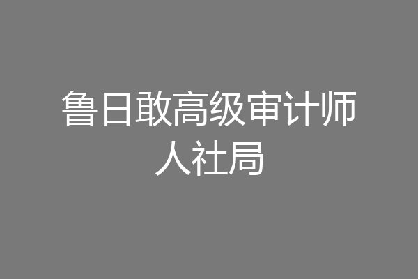 鲁日敢高级审计师人社局