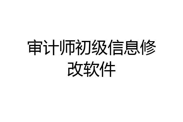 审计师初级信息修改软件