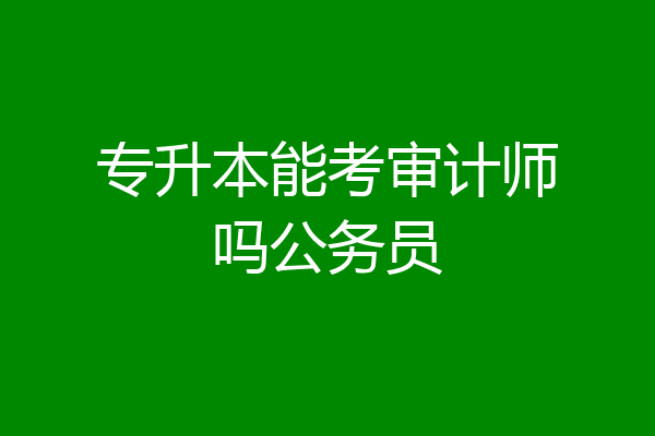 专升本能考审计师吗公务员