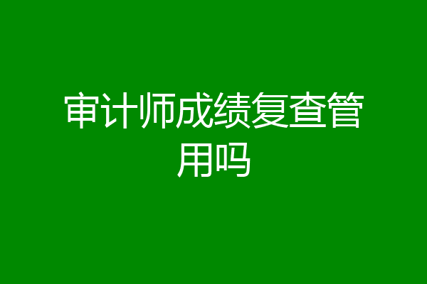 审计师成绩复查管用吗