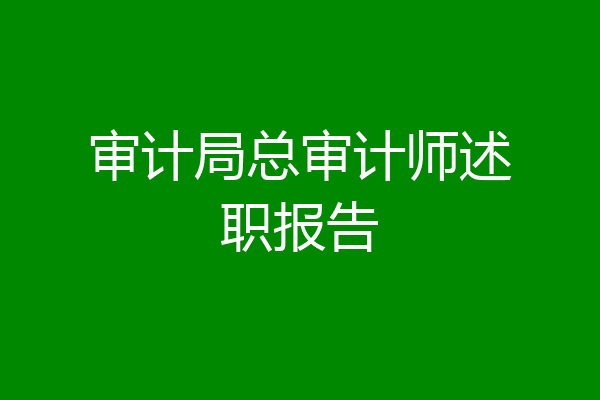 审计局总审计师述职报告