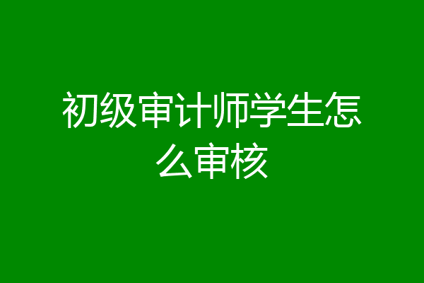 初级审计师学生怎么审核