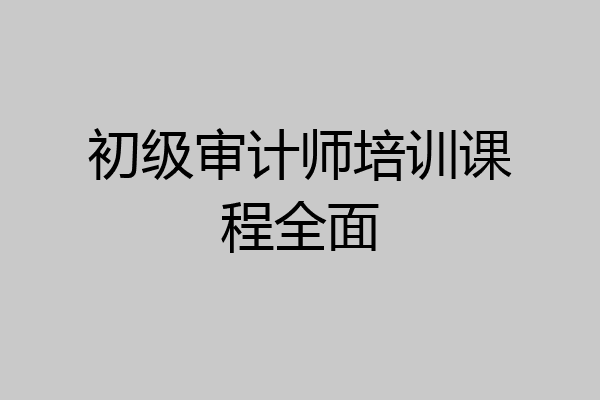 初级审计师培训课程全面