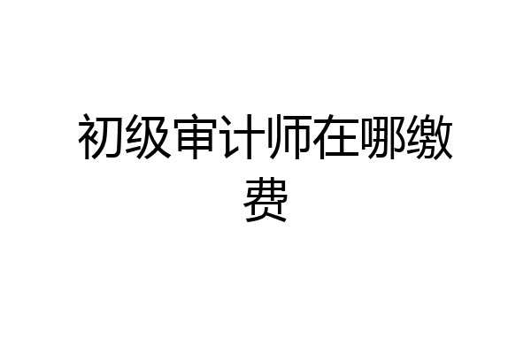 初级审计师在哪缴费