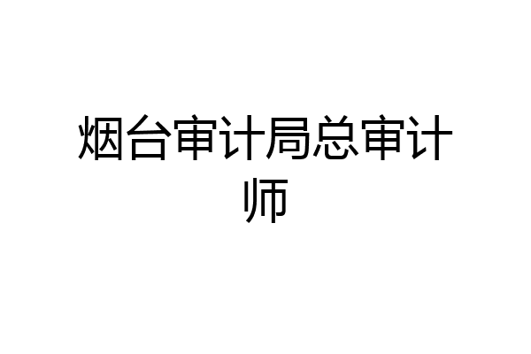 烟台审计局总审计师