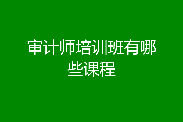 审计师培训班有哪些课程