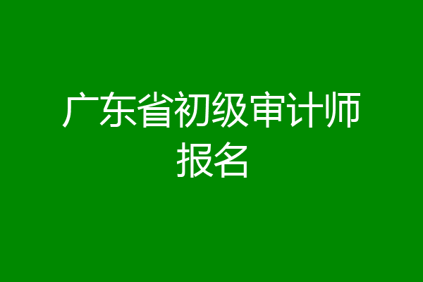 广东省初级审计师报名