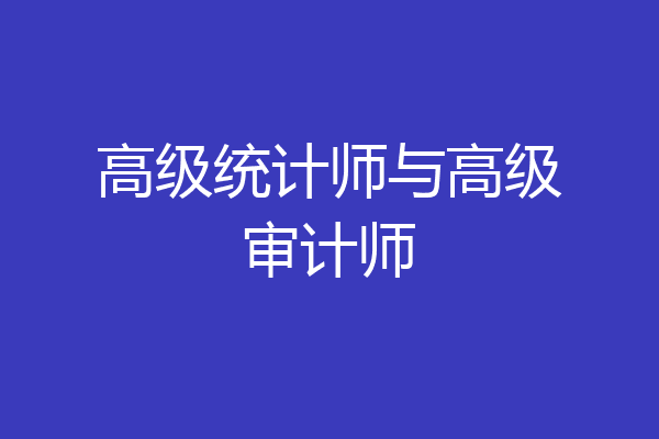 高级统计师与高级审计师