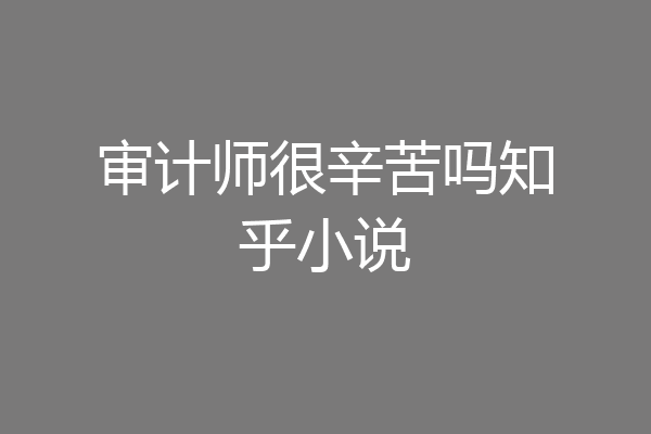审计师很辛苦吗知乎小说