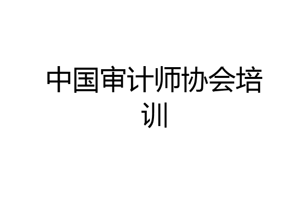 中国审计师协会培训