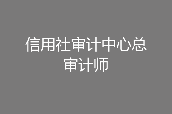 信用社审计中心总审计师
