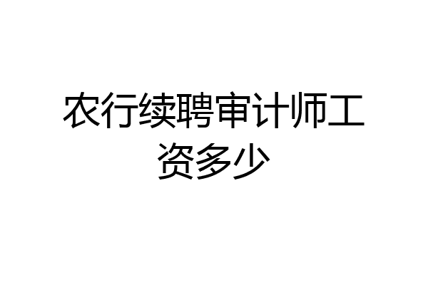 农行续聘审计师工资多少