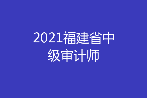 2021福建省中级审计师