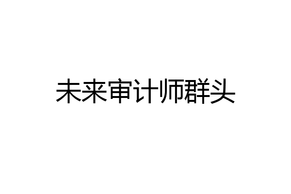 未来审计师群头