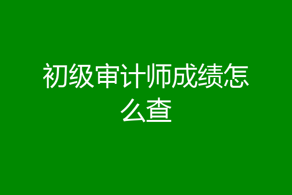 初级审计师成绩怎么查