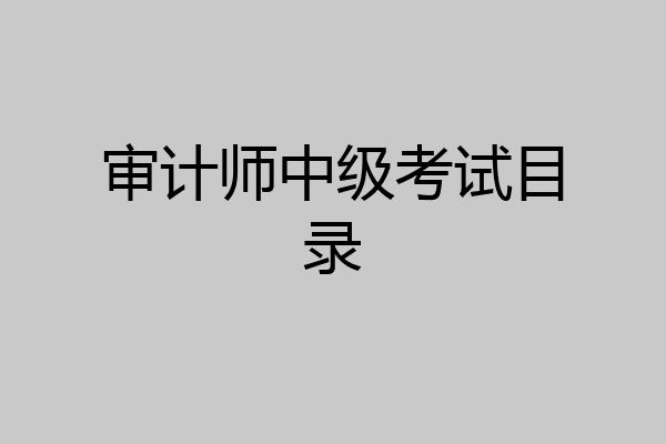 审计师中级考试目录