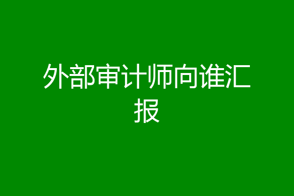 外部审计师向谁汇报