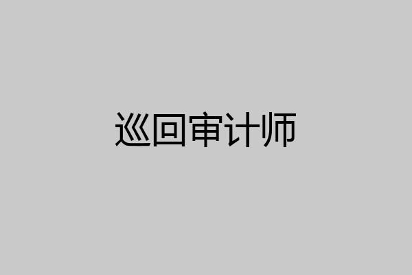 巡回审计师