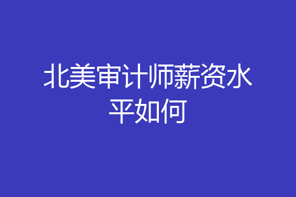 北美审计师薪资水平如何