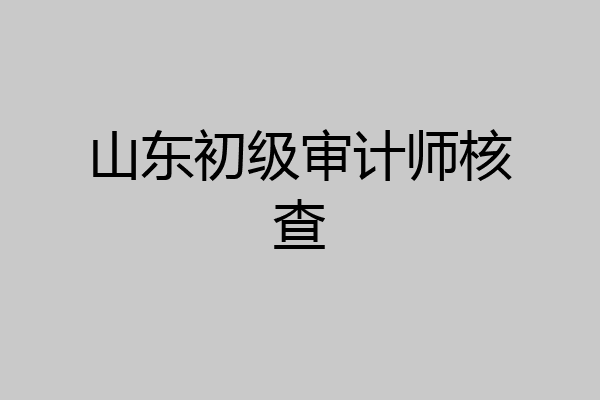 山东初级审计师核查