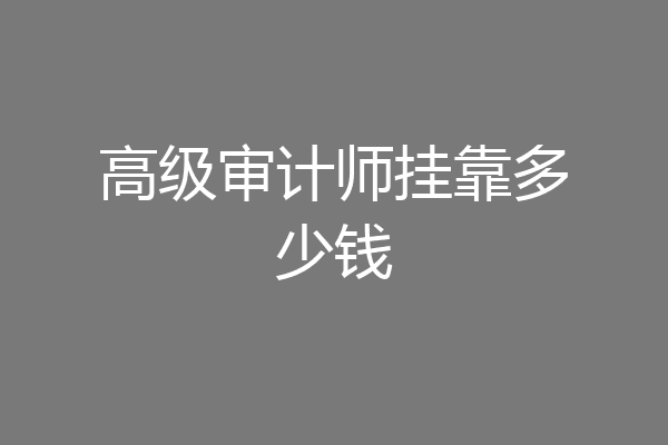 高级审计师挂靠多少钱