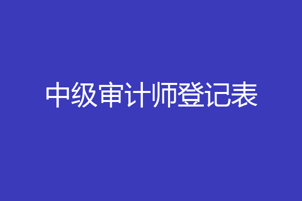 中级审计师登记表