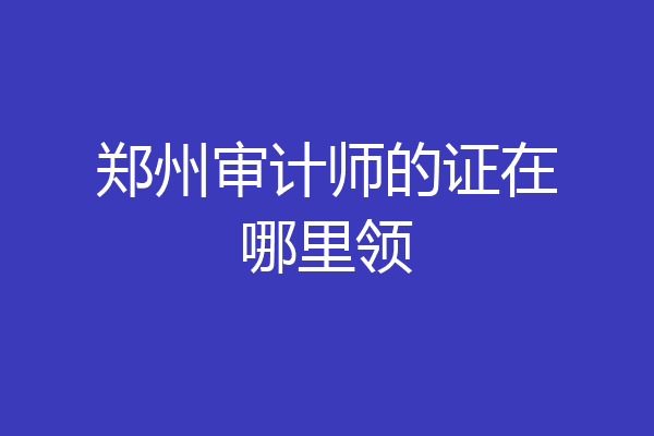 郑州审计师的证在哪里领