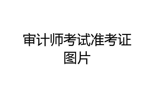 审计师考试准考证图片