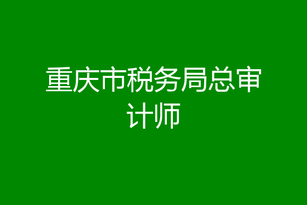 重庆市税务局总审计师