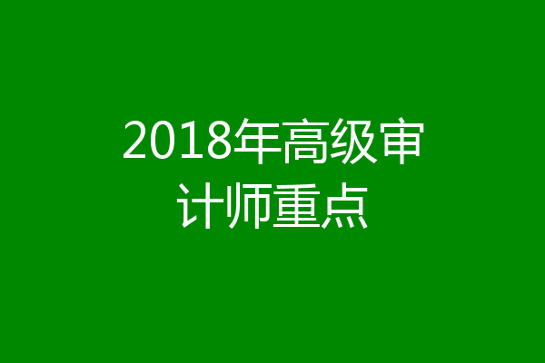2018年高级审计师重点