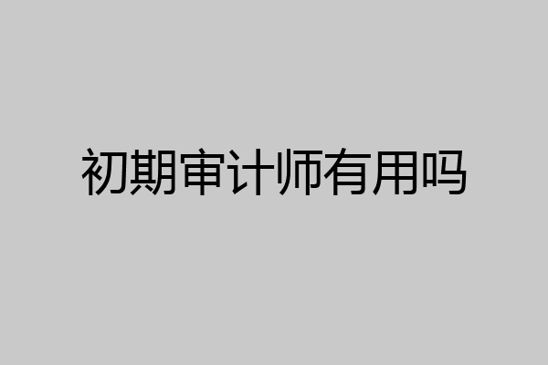 初期审计师有用吗